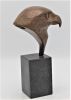 loek prins  kopje steenarend  brons x7x11 cm.  650 00  5 2328
