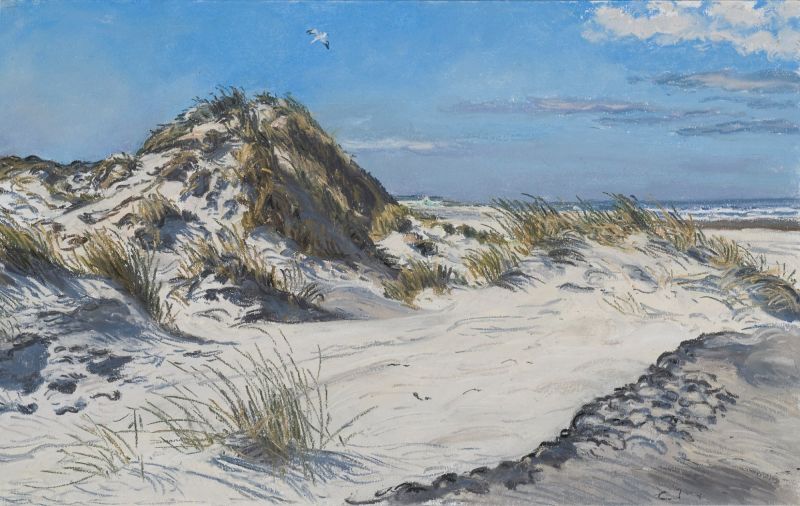 JOANNA QUISPEL  Terschelling  duinen Oosterend  pastel 2 5x37 5 cm. 875 00 4034