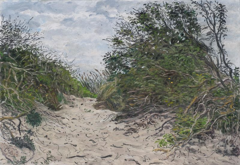 JOANNA QUISPEL  Texel  duinen Slufter  pastel 2 5x32 5 cm.  850 00 4039