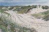 JOANNA QUISPEL  Texel  duinen Slufter  pastel  20x30 cm.  800 00 4041
