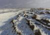 Tweehuysen Sneeuwvlakte  Noorderleeg   olieverf en tempera op paneel  50x70cm tekoop 2850   4851