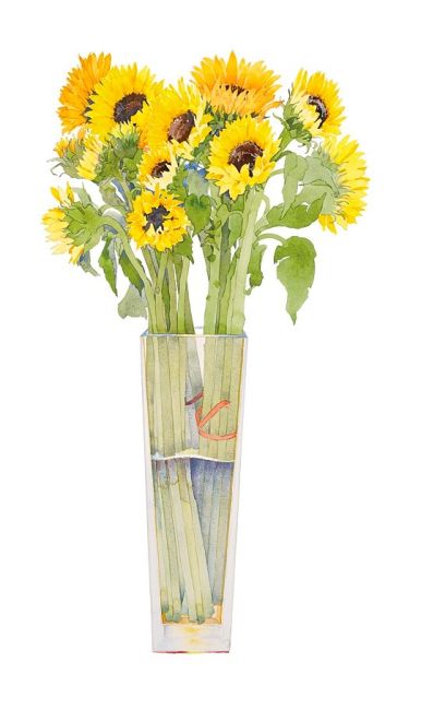 GARY BUKOVNIK  Sunflowers in a tall vase  aquarel  x54cm  E. 2400 00 29891.GaryBuk 5145