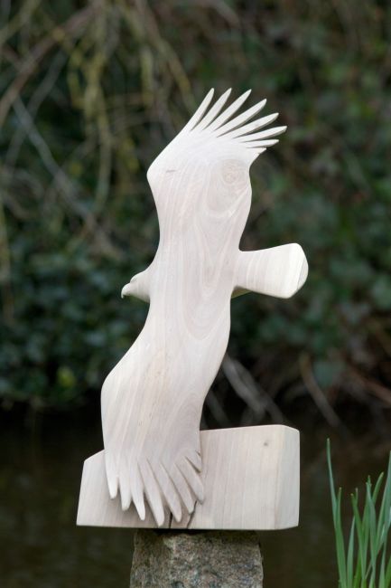  MGa Steppearend   noot   60x43x26      1500   5252