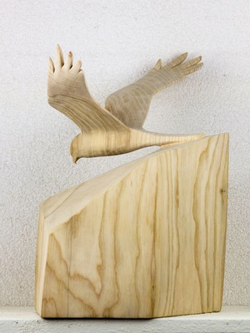  MGb Grauwe Kiekendief   es   37x34x21      850   5272