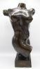 amiran djanashvili tors  brons x30x30 cm.     8600 00    2   626