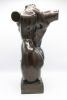 amiran djanashvili tors  brons x30x30 cm.  8600 00  8 625
