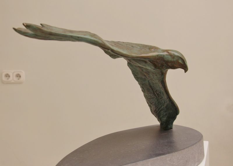 fiona zondervan  vliegende visarend  brons x55x29 cm. 3300 00    807